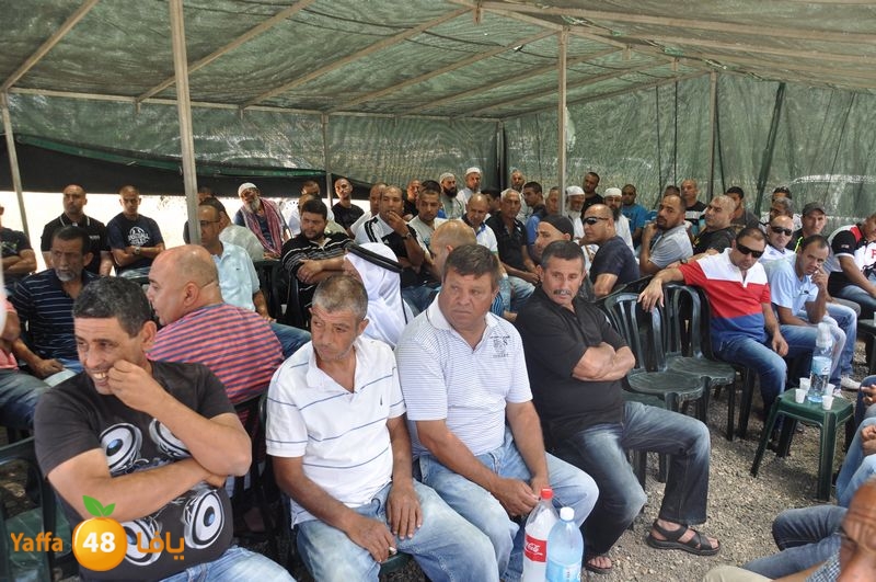 sol7desoqylud615 (2).JPG